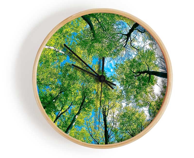 Forest Sky View Clock - Wallart-Direct UK