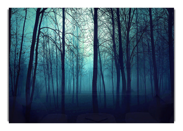 Dark Forest