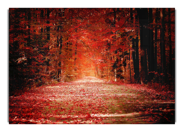 Autumn Road 1