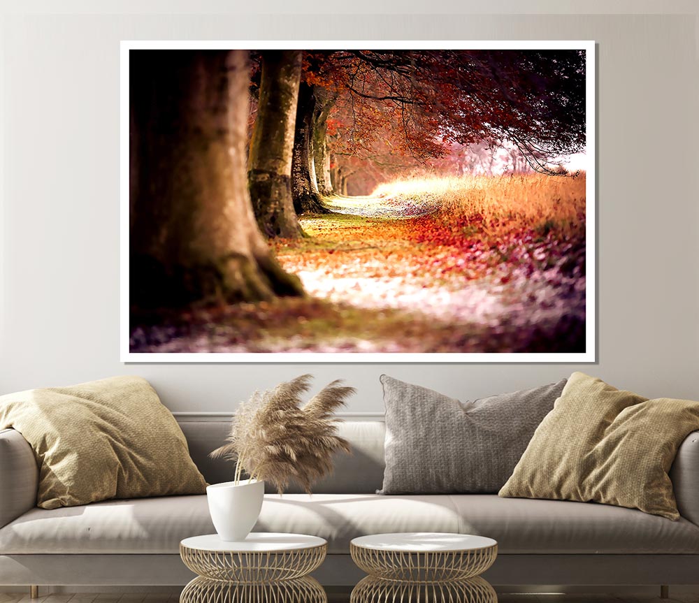 Beech Autumn Trees Print Poster Wall Art