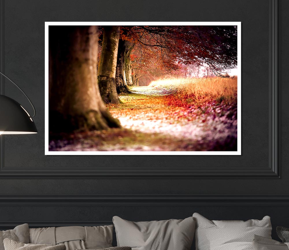 Beech Autumn Trees Print Poster Wall Art