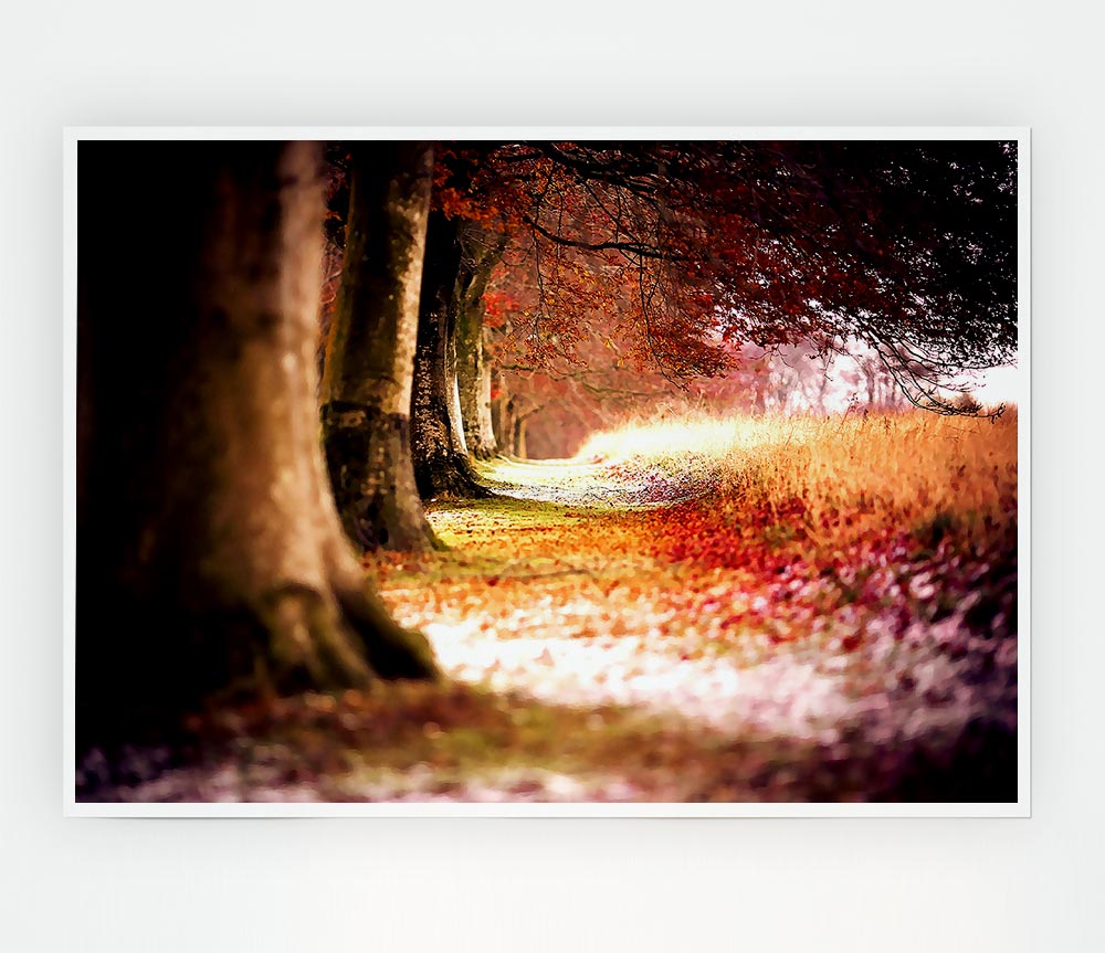 Beech Autumn Trees Print Poster Wall Art