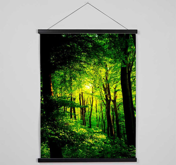 Emerald Forest Walk Hanging Poster - Wallart-Direct UK