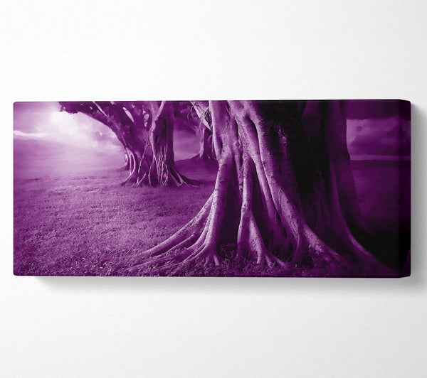 Purple Forest