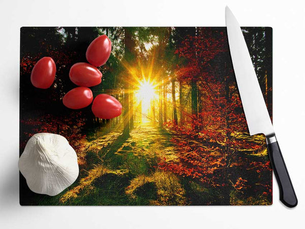 The Beaming Forest Sun Glass Chopping Board