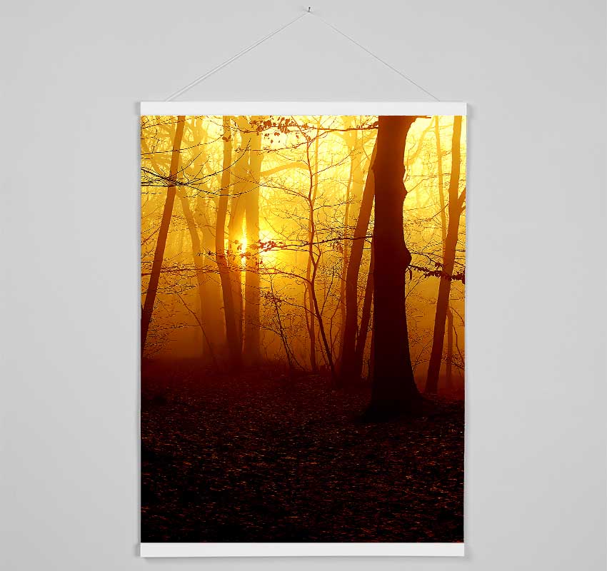 Golden Forest At First Light Hanging Poster - Wallart-Direct UK