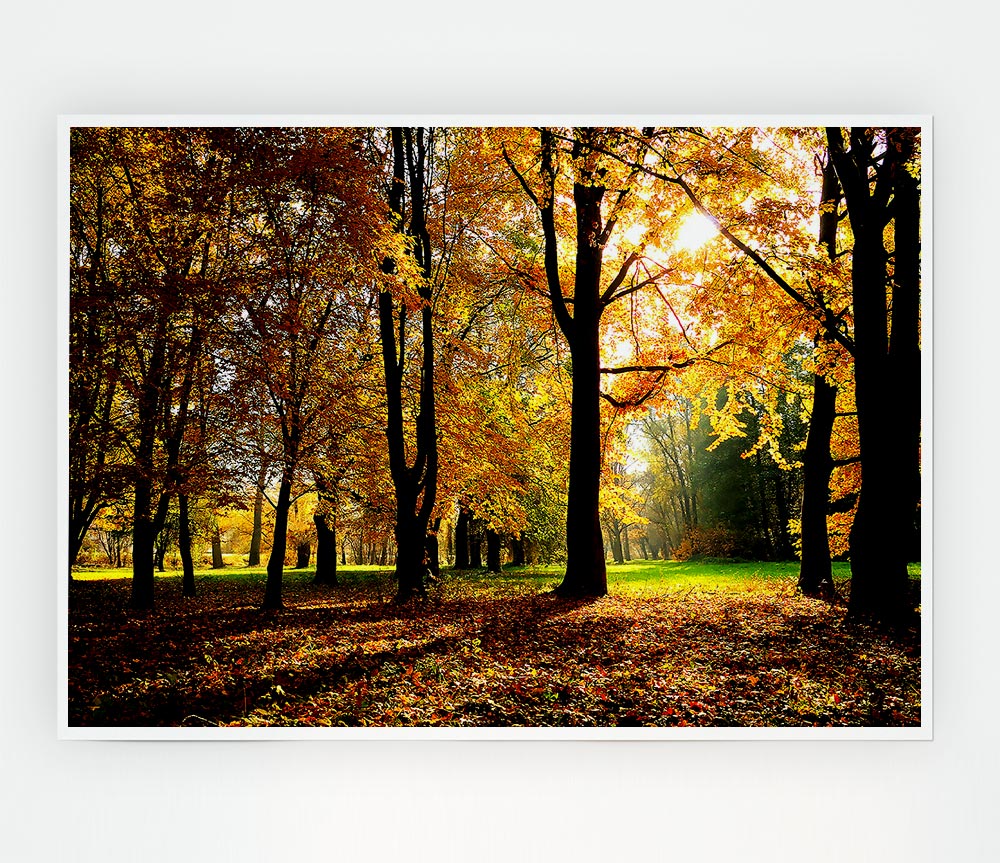 Autumn Season Print Poster Wall Art