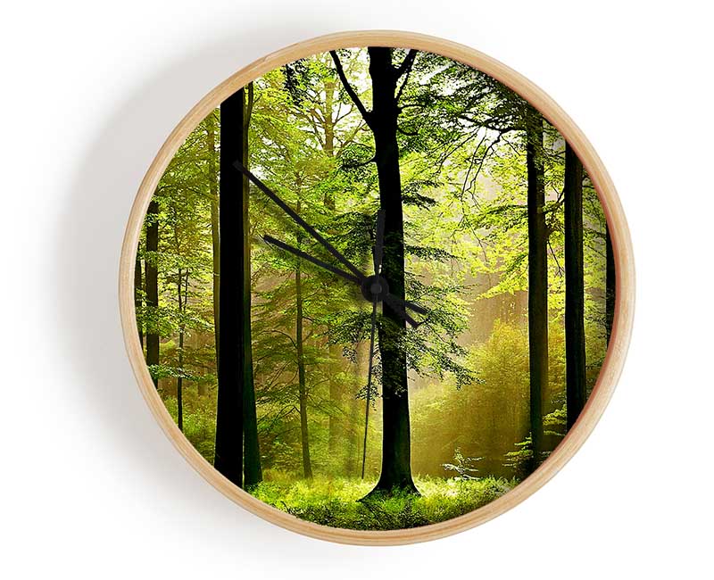 Green Forest Mist Clock - Wallart-Direct UK