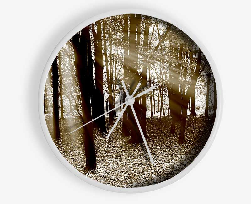 Sun Beams Through The Chocolate Forest Clock - Wallart-Direct UK