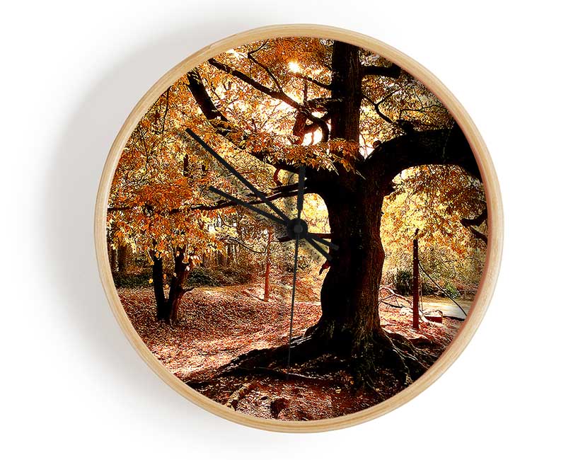 In The Depths Of The Old Forest Clock - Wallart-Direct UK