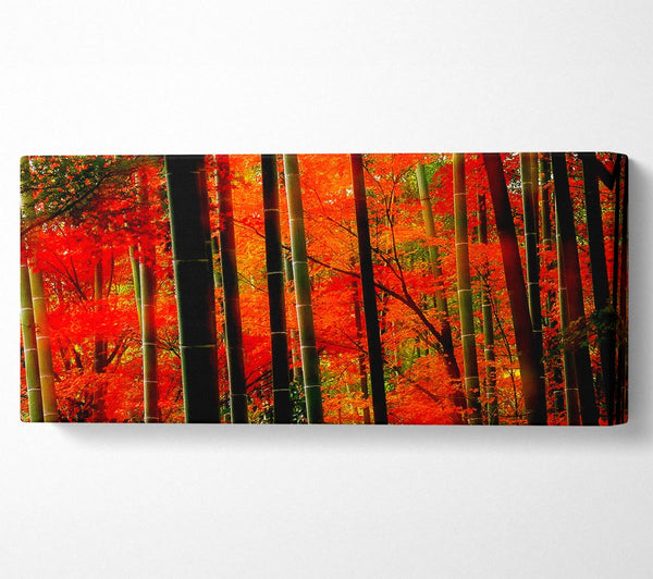 Red Autumn Forest