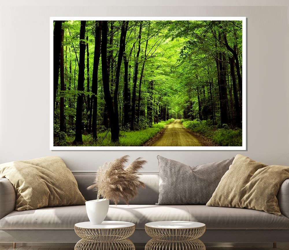 Green Tree Road Print Poster Wall Art