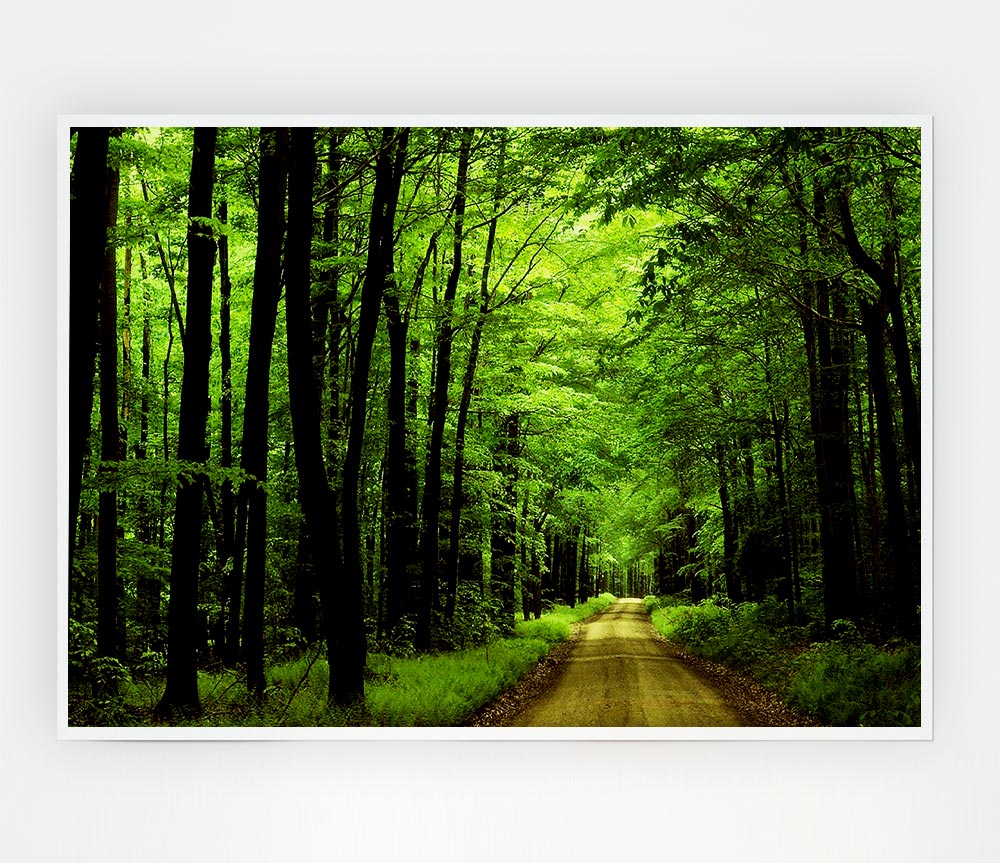 Green Tree Road Print Poster Wall Art