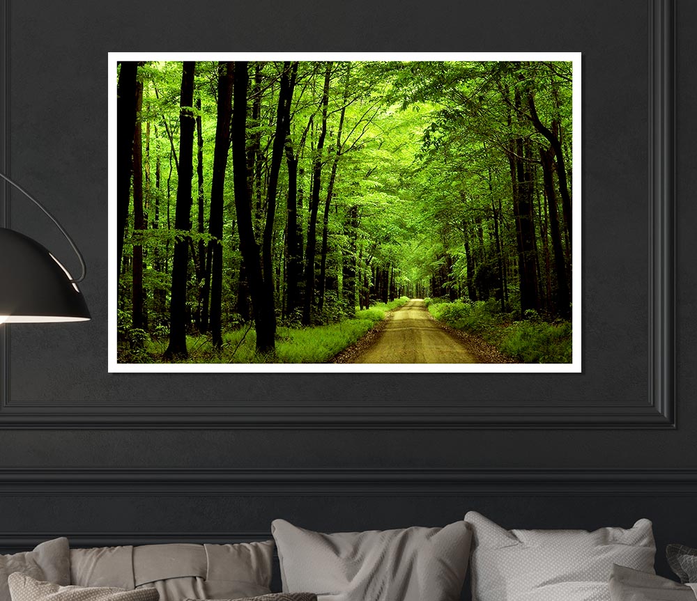 Green Tree Road Print Poster Wall Art