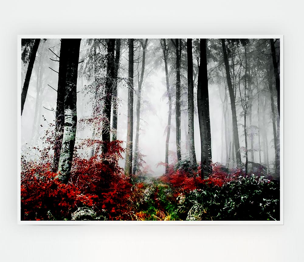 Forest Mist Morning Print Poster Wall Art