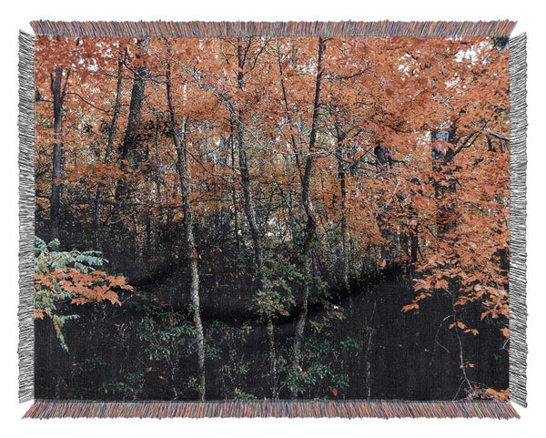 Stunning Colourful Autumn Forest Woven Blanket