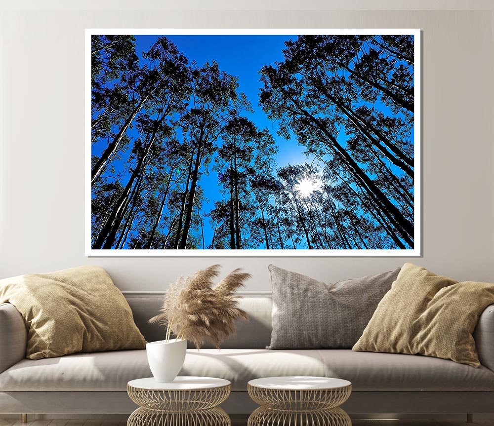 Blue Tree Top Skys Print Poster Wall Art