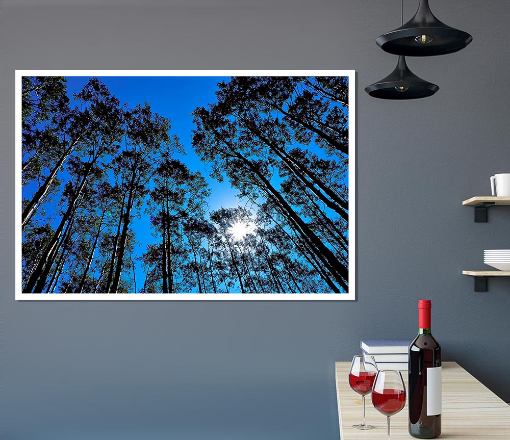 Blue Tree Top Skys Print Poster Wall Art