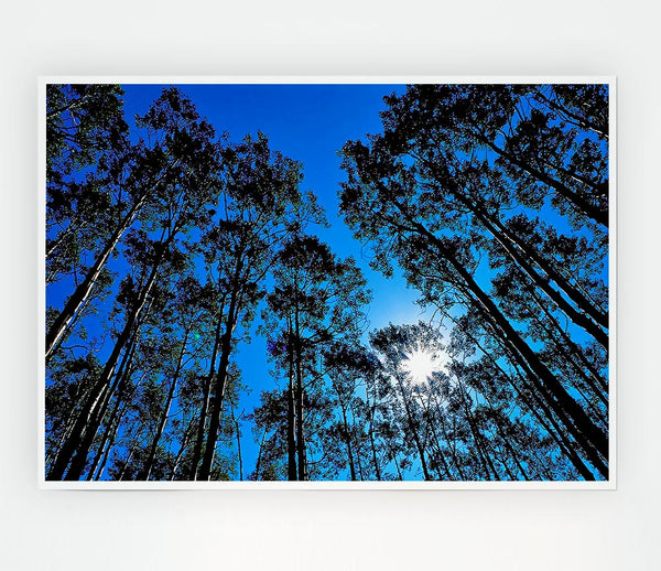 Blue Tree Top Skys Print Poster Wall Art