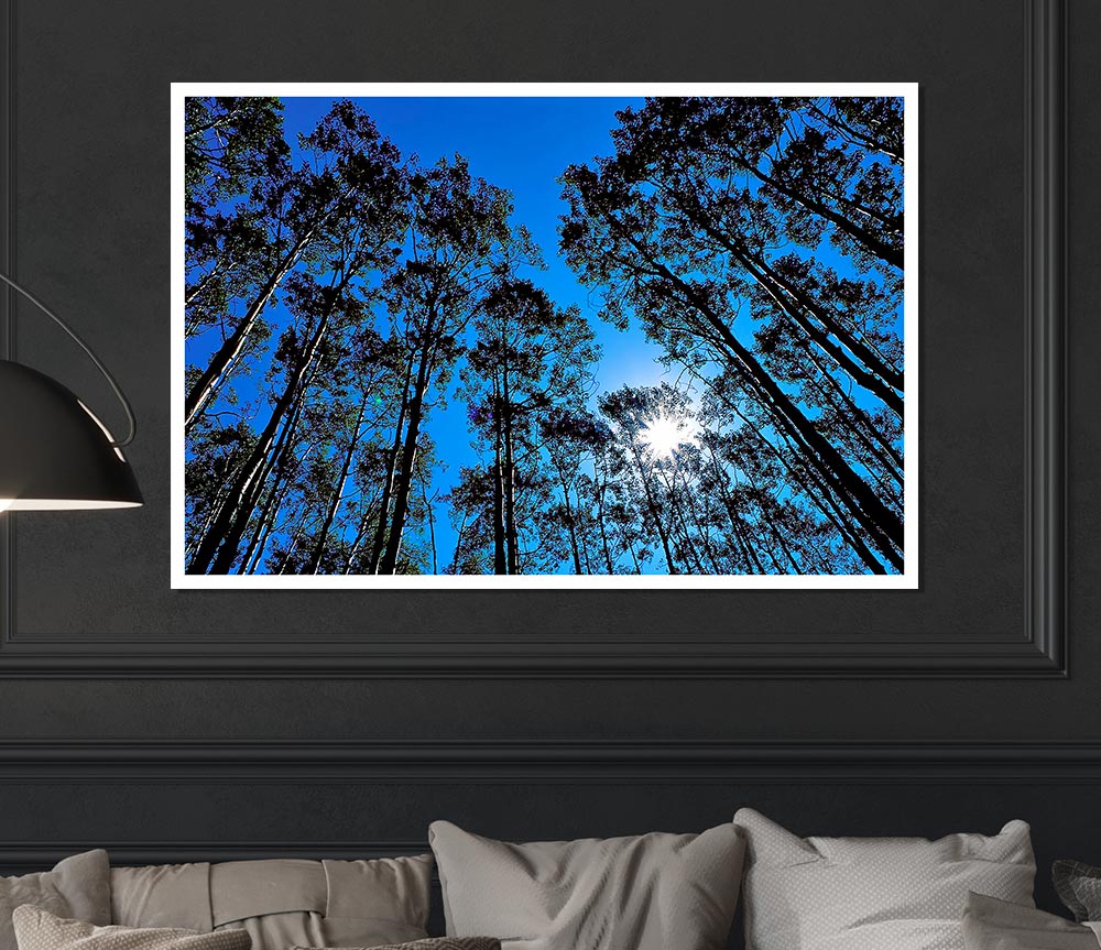 Blue Tree Top Skys Print Poster Wall Art