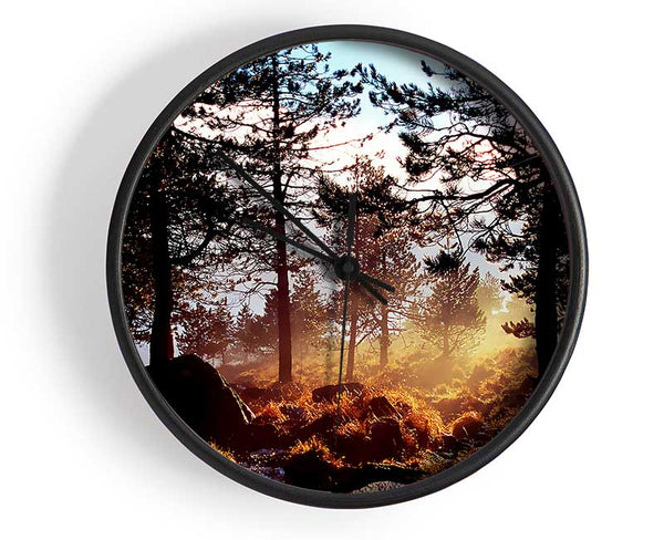 Day Break In The Forest Clock - Wallart-Direct UK