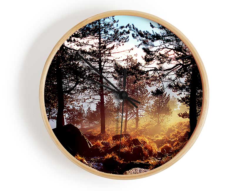 Day Break In The Forest Clock - Wallart-Direct UK