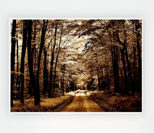 Hidden Chocolate Forest Road Print Poster Wall Art