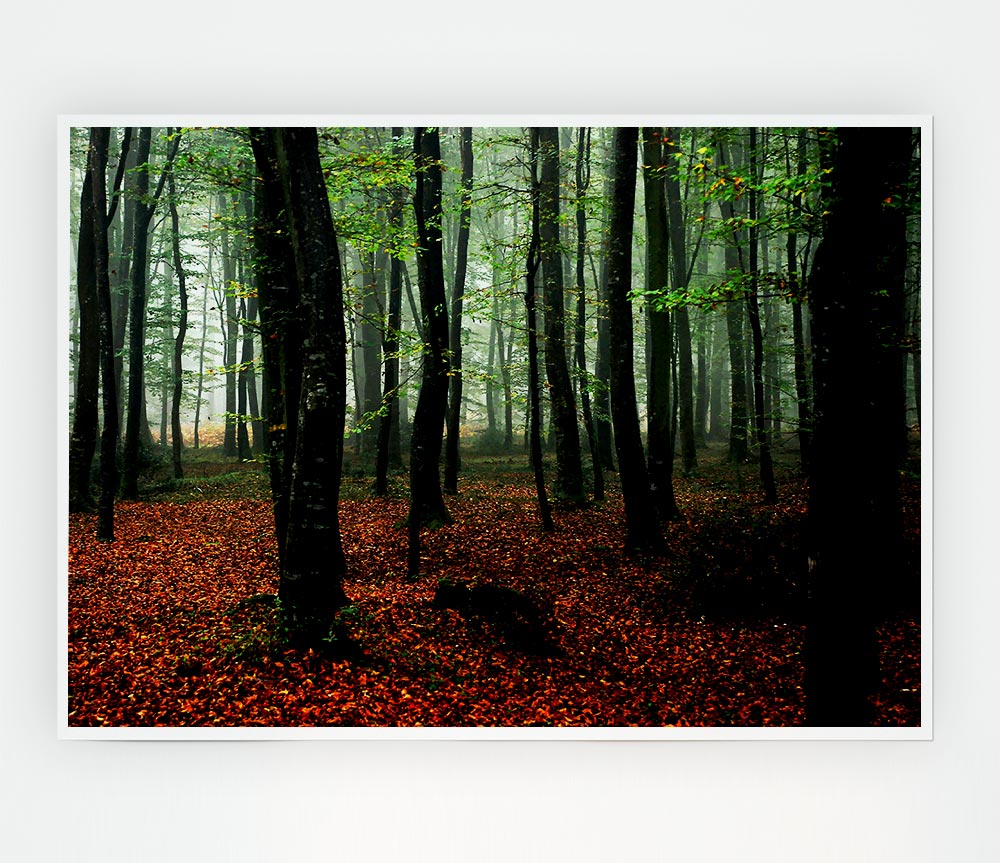 Emerald Forest Hide Away Print Poster Wall Art