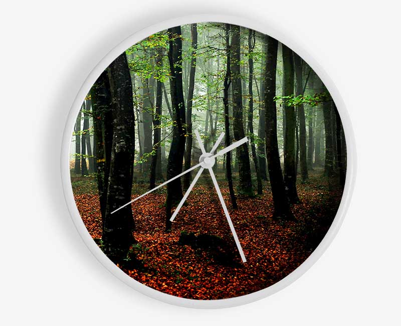 Emerald Forest Hide Away Clock - Wallart-Direct UK