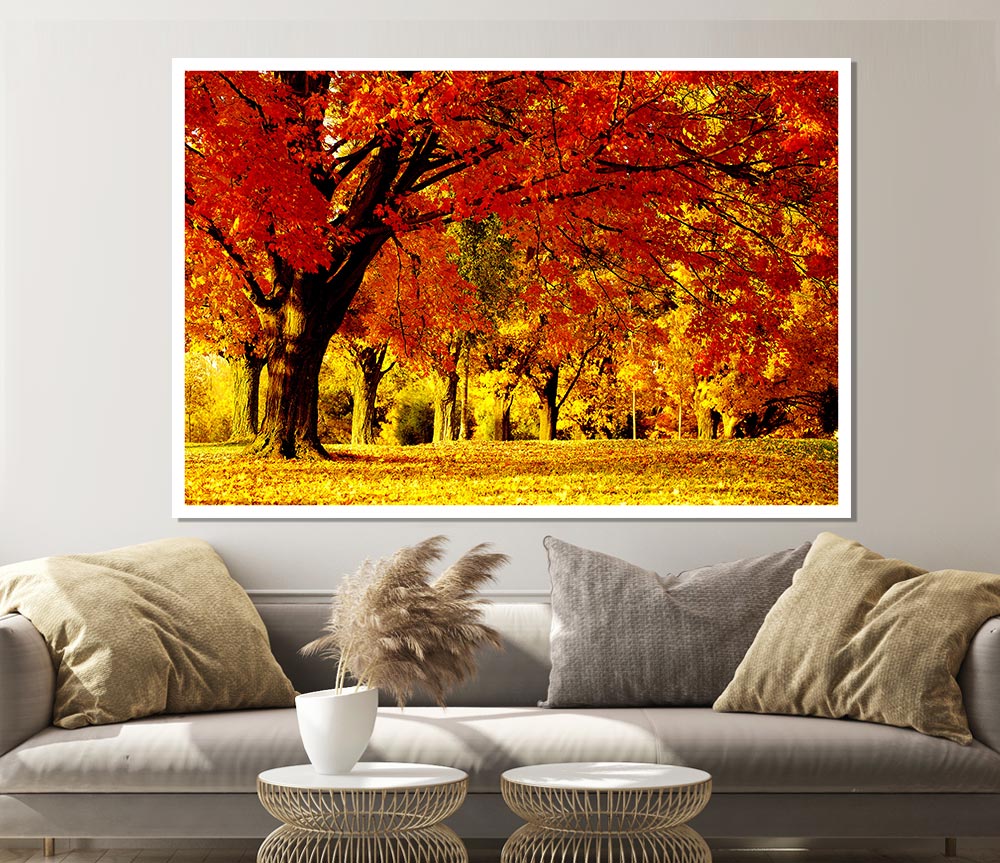 Golden Woodland Walk Print Poster Wall Art