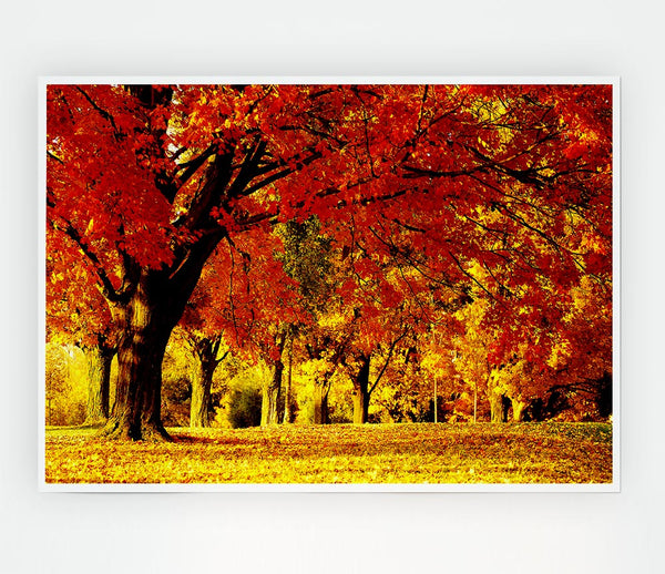 Golden Woodland Walk Print Poster Wall Art