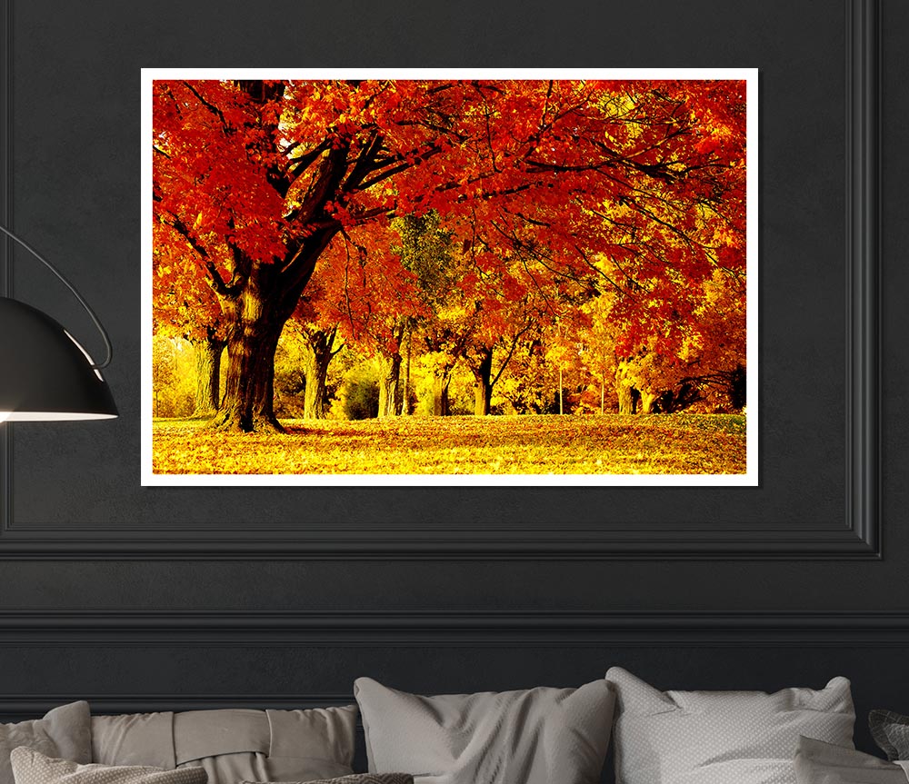 Golden Woodland Walk Print Poster Wall Art