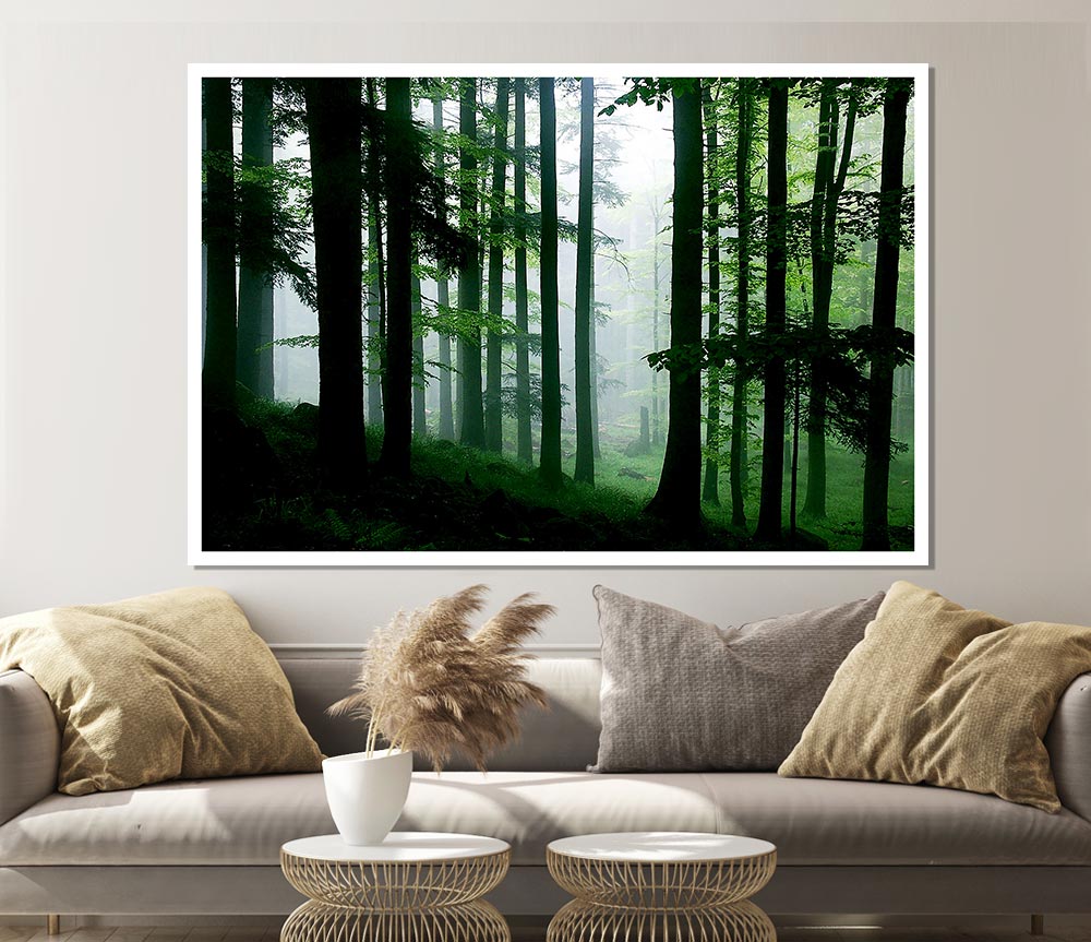 Emerald Forest Mist Print Poster Wall Art