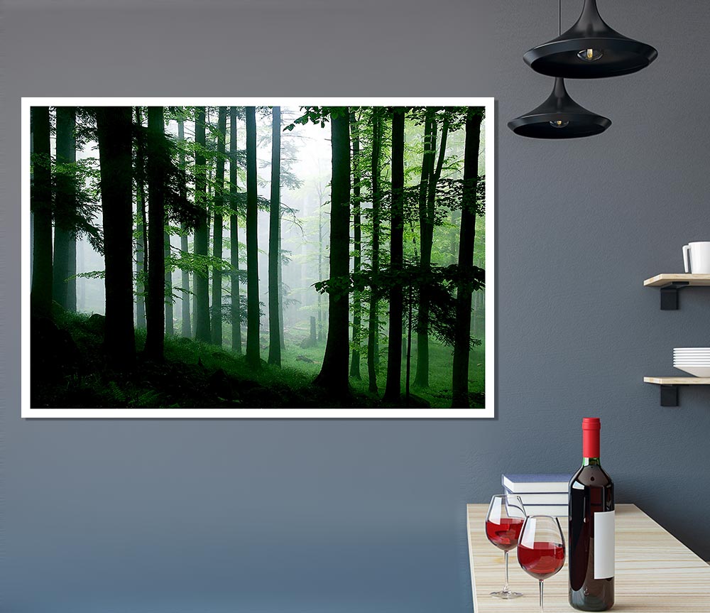 Emerald Forest Mist Print Poster Wall Art