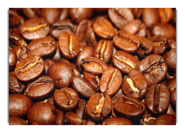 Coffee Beans 3