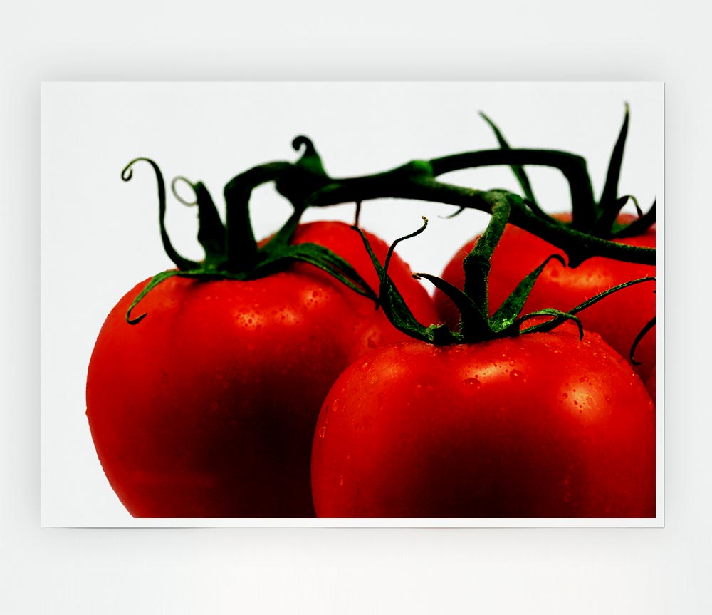 Tomato Trio Print Poster Wall Art