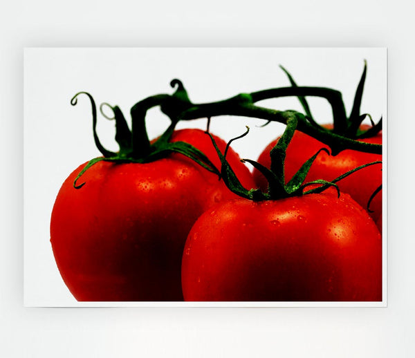 Tomato Trio Print Poster Wall Art