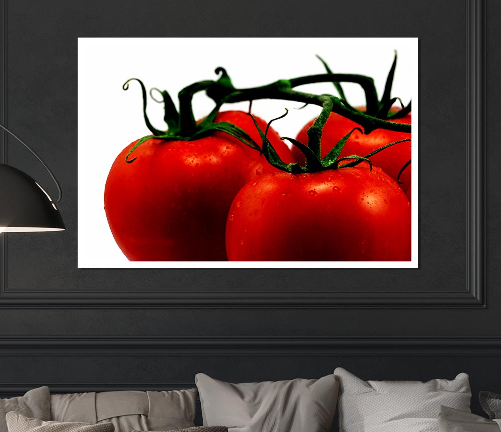 Tomato Trio Print Poster Wall Art