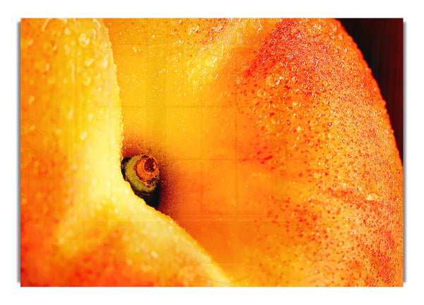 Peach Close Up