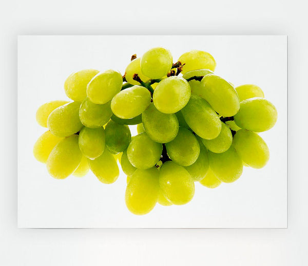 Green Grapes Print Poster Wall Art