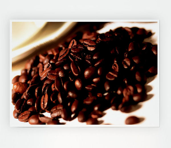 Coffee Bean Display Print Poster Wall Art