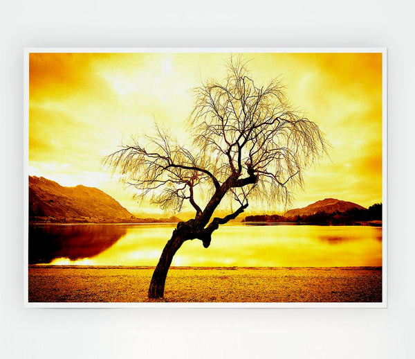 Willow Tree In Winter Print Poster Wall Art