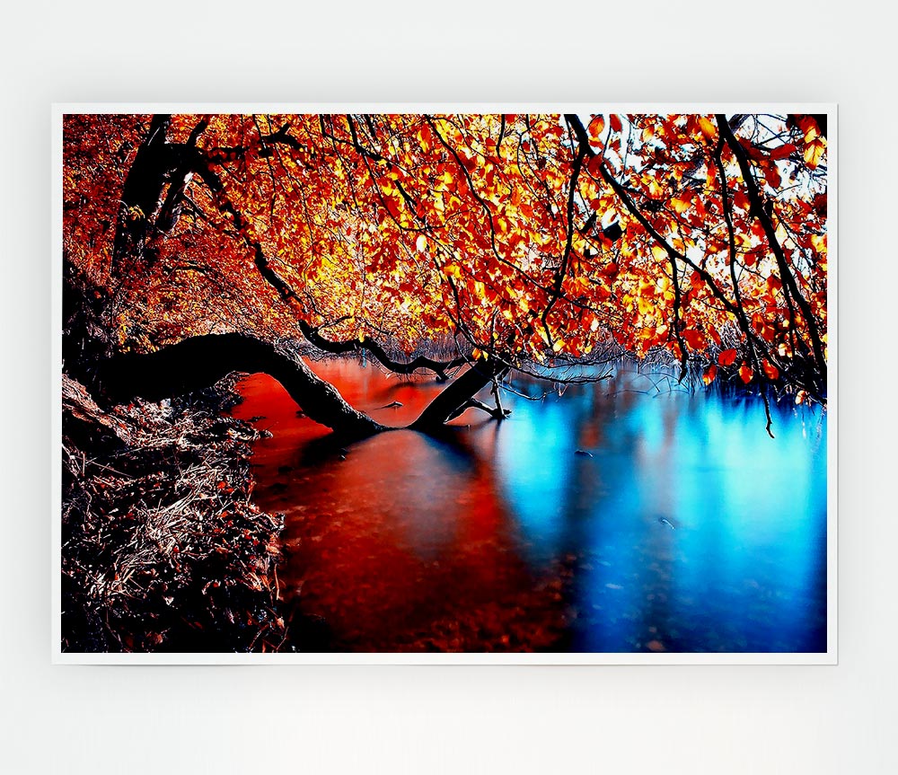 Tree Branches Over The Lake Print Poster Wall Art