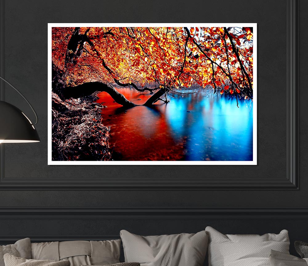 Tree Branches Over The Lake Print Poster Wall Art