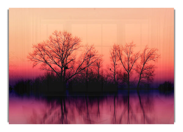 Trees At Dusk