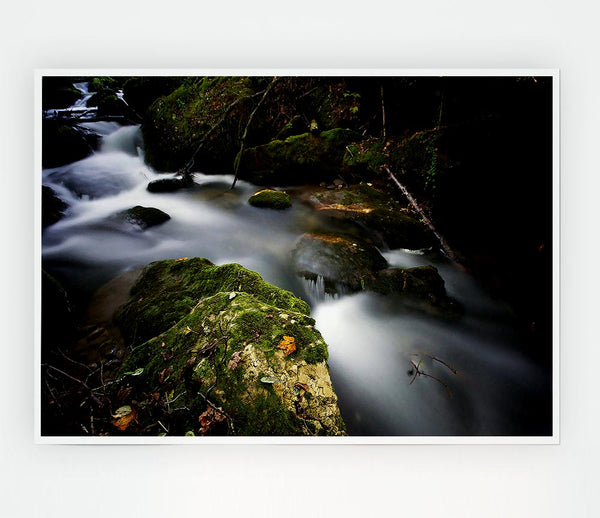 Forest Mist Creek Print Poster Wall Art