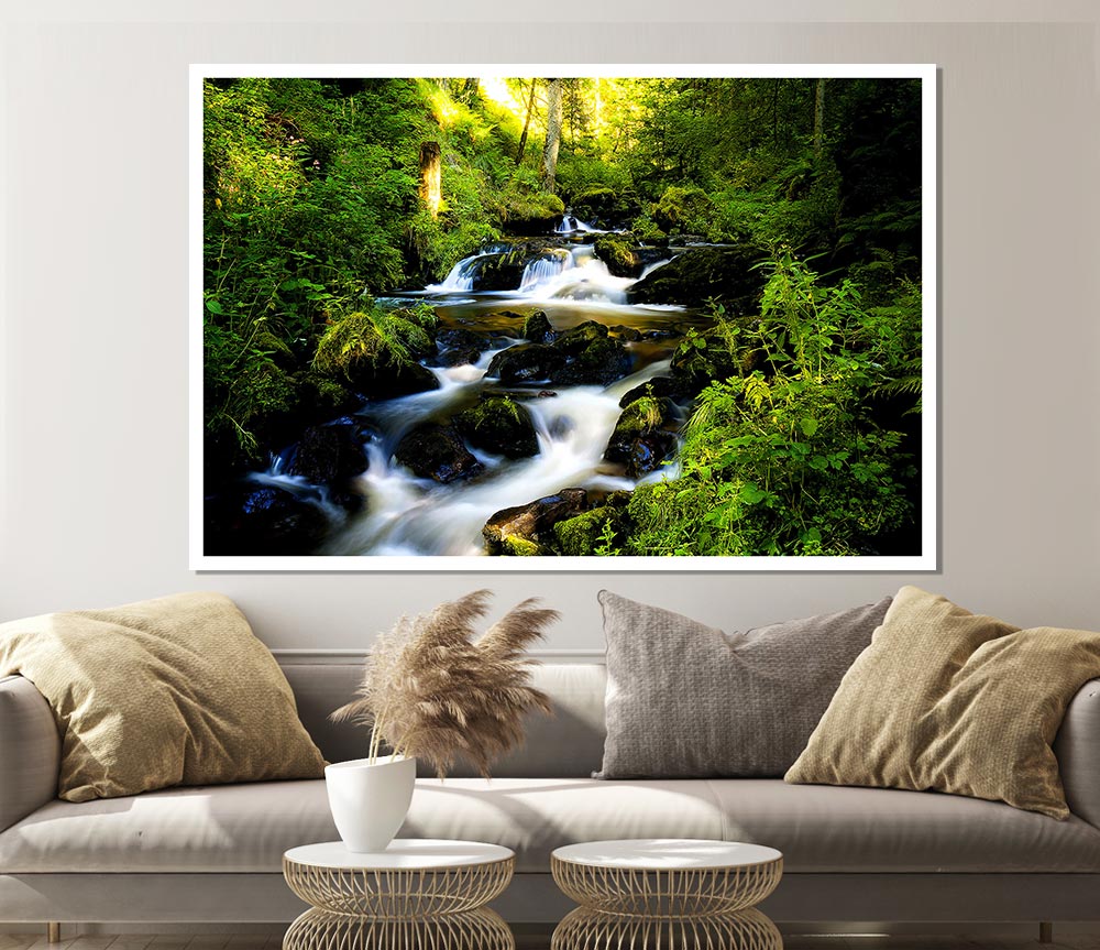 Forest Creek Print Poster Wall Art