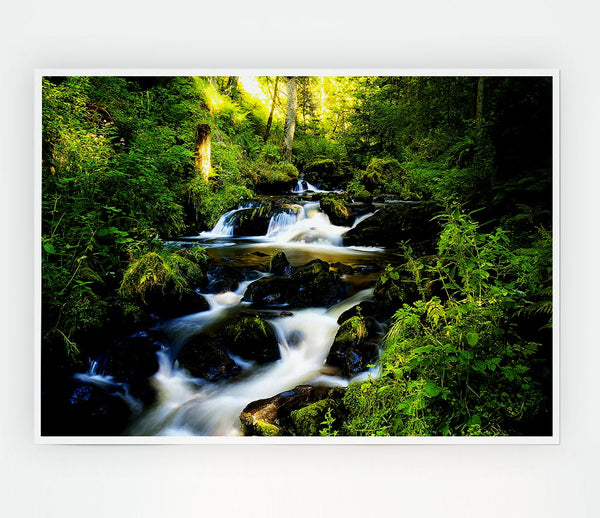 Forest Creek Print Poster Wall Art