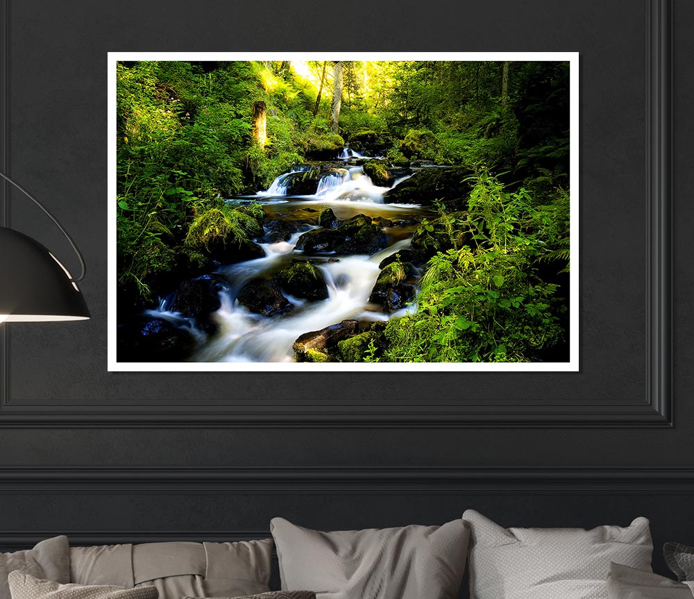 Forest Creek Print Poster Wall Art