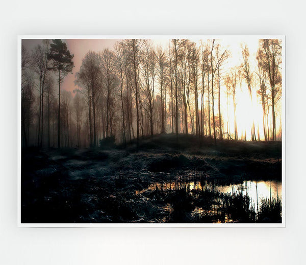 Early Morning Swamp Print Poster Wall Art